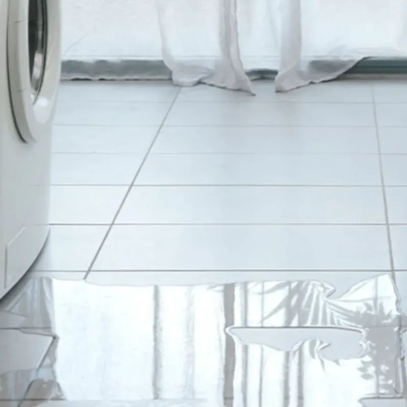 Appliance Leak Cleanup in Fall Branch, TN