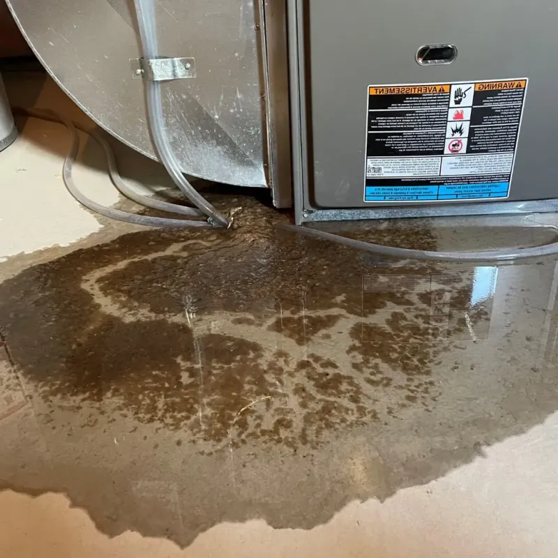 Pipe Burst and Leak Restoration in Fall Branch, TN